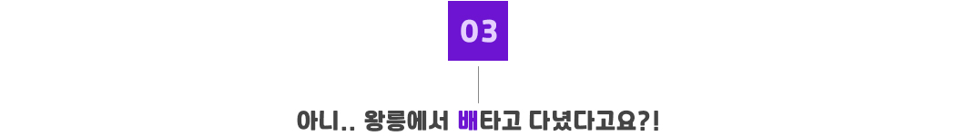 선정릉_포인트03.jpg